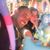 Vale Ferro's profile image