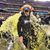 Kevin Elsesser's profile image