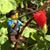 Maria Mahar's profile image