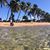 Lorri Littlejohn's profile image