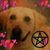 Karen Weiser's profile image