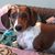 RL Whiting's profile image