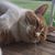 Valerie M. Bowman's profile image