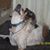 Michael Reilly's profile image