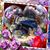Sandra Perrin's profile image