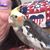 Mary Hauck's profile image