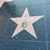 Alven Navarro's profile image