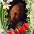 Sandy Faye's profile image