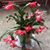 Carol Bartley's profile image