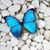 Teri Closner's profile image