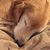 Betsy Moynehan's profile image