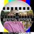 Martin Berger's profile image