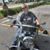 Jill Samer's profile image