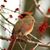Debra Gaul's profile image