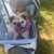 Dorothy Nardone's profile image