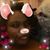 Racheal Kirksey's profile image