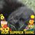 Dawn Cox's profile image