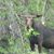 Kathy Quackenbush Woschanko's profile image