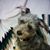 Susan Lynn's profile image