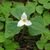Emily Friedly's profile image