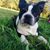 Dawn Thomas Melton's profile image