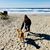 Stephanie Kersey Orth's profile image