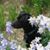 Lynn Zinn's profile image