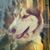 Lucio Mosqueda's profile image
