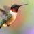 Betty Redden's profile image