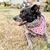 Diane Moore Davis's profile image