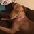 Marcie Siddall's profile image