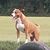 Brandon Bulington's profile image