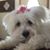 Michele Varner Peters's profile image