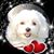 Sharon Lynch's profile image