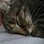 Kandace Mick's profile image