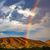 Trowbridge Eric-Andrea's profile image