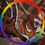 Jim Stolle's profile image