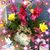 Amelia Olvera Solis's profile image