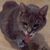 Tammy Wellman's profile image