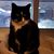 Lee Straubel's profile image