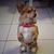 Delmelle Anita's profile image