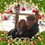 Susan Reilly's profile image
