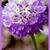 Keerthi Suren's profile image