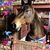 Gail Kohls's profile image