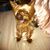 Matthew Crumpler's profile image