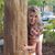 Mechelle Willeford Klosterman's profile image