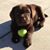 Pat Ransone's profile image
