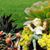 Mary Theis's profile image