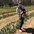 Heather Greene Powell's profile image