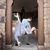 Victoria Baird's profile image
